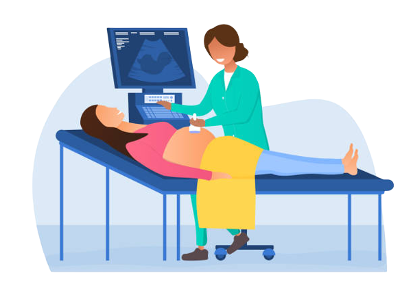 Gender-Scan-Dr.-Sara Amman رعاية ما قبل الحمل