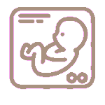 معرفة جنس الجنين - Gender Scan